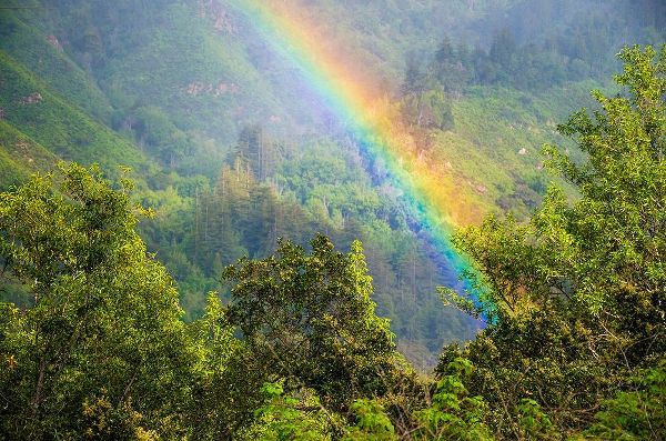 Rainbow in Andrew Molera State Park-California-USA